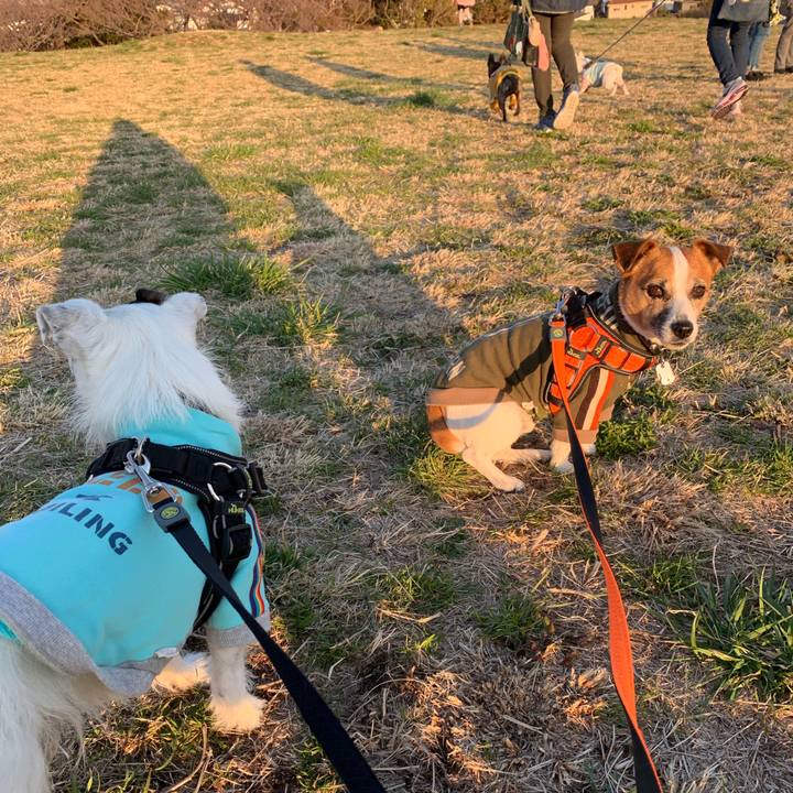 13e24c2e 19fc 43c5 baaa a5df7e3fe694 1552037618116