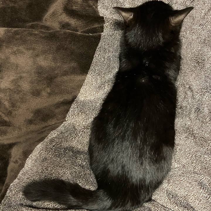 13e28b06 8b34 4dfd 9b3e 2343eee91d8f 1617017037818