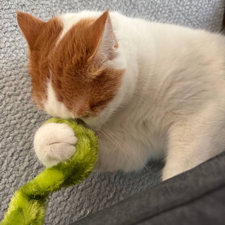 13e29ed0 fd7b 4e81 bfb5 d022853688f7 1769655073697