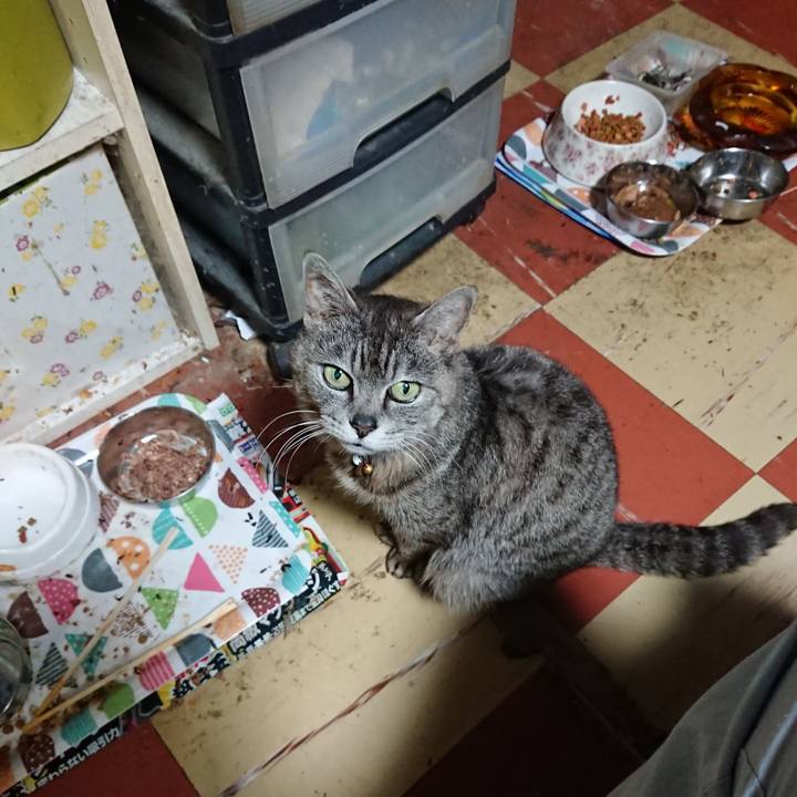 13e2b116 ecf0 40de 8149 6c55fe7b7dc5 1590576031296