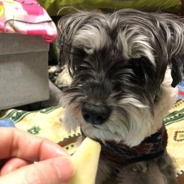 13e2c627 dd90 45ba 9173 dbefa7e48a2a 1677070081952