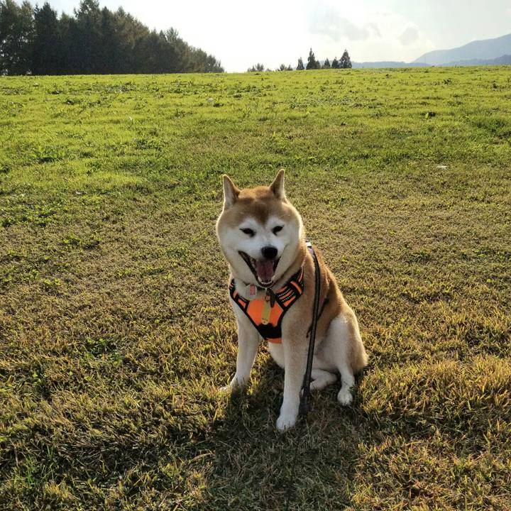 13e32dd5 3dbf 4b8e 8ebb 0dc42605bc53 1604813051315