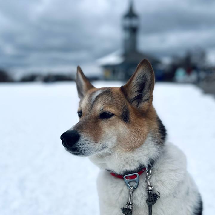 13e35e1e c4b4 4770 aede 62c5da63fdaa 1773375282324