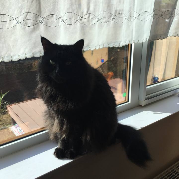 13e365e8 40e6 426b 8100 a854de640639 1542712268100