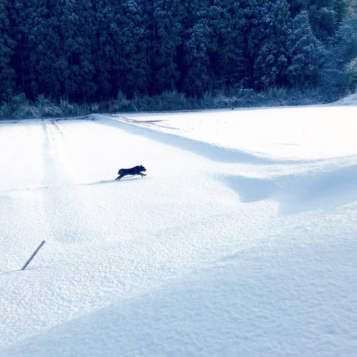 13e389e6 b142 4384 8c32 0d4be699e944 1519172548951