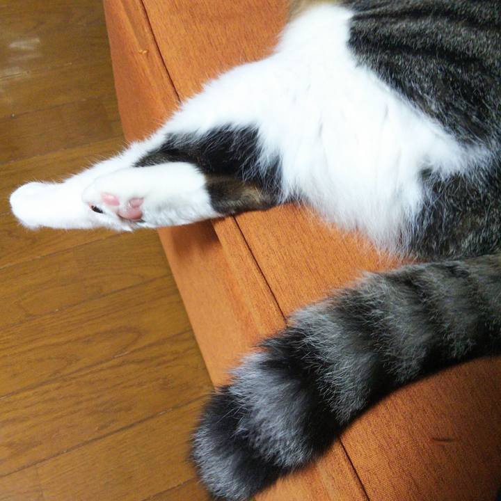 13e38c4f a995 44ab b1e6 ce1bab4ed9ec 1660445706755