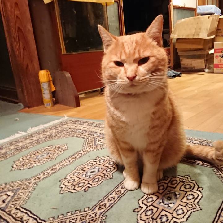 13e39233 14d0 4260 90b5 9982252703c4 1577437963540