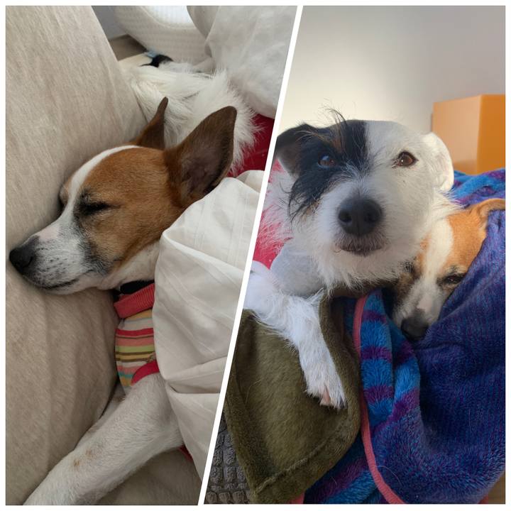 13e392df fdfc 4e49 83d8 9220afba0d74 1552863119015