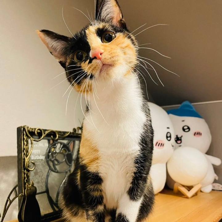 13e39af1 658f 4831 9824 629e45eda213 1644672328215