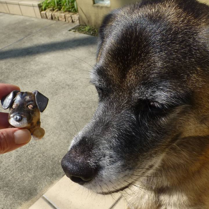 13e3b8bc 9ea7 48fa b1f9 cdb562ee8fa2 1683679223223