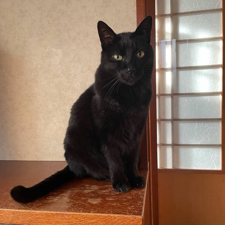 13e3c702 1527 4e38 87fd d9fae83df1b3 1616203079742