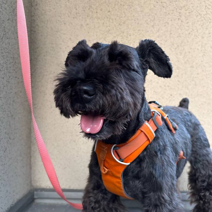 13e3eef0 092c 4f8c 9be7 c6abd77715d2 1751711071088