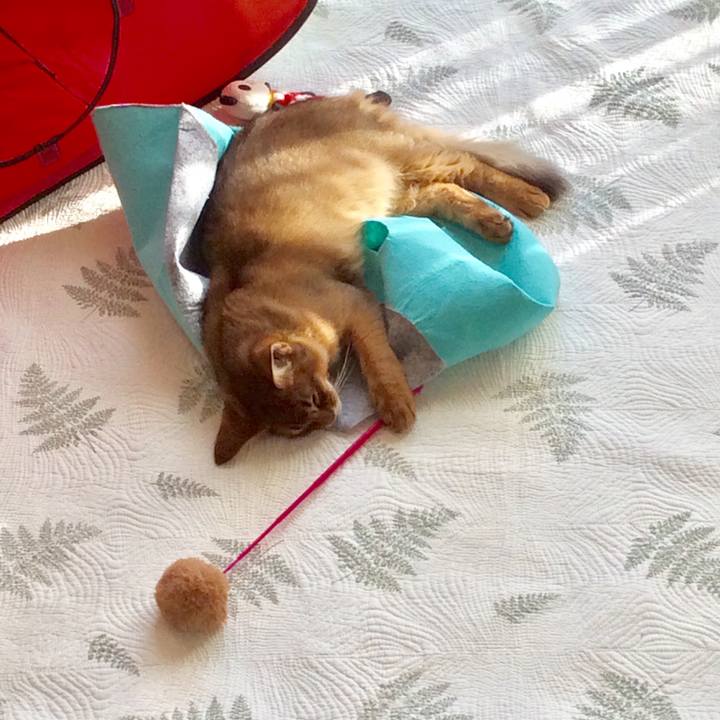 13e3f05c 4227 4af8 afd8 0e54f1e11f7d 1573866858881