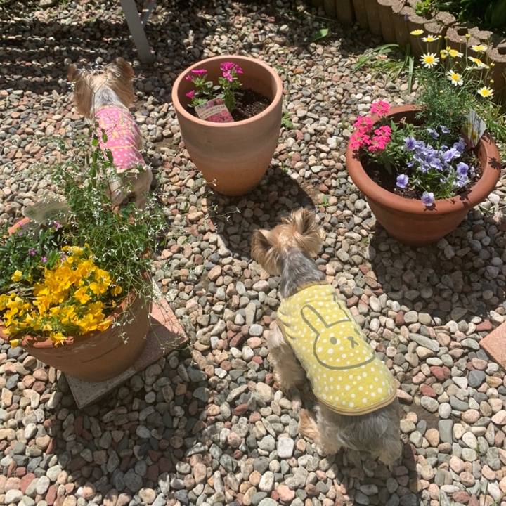 13e40500 f789 4d87 9af8 ab6ae65d8a50 1653386216622