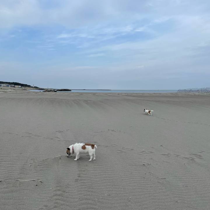 13e408ce a4d1 4fb7 9db5 74e17e34f337 1745796070940