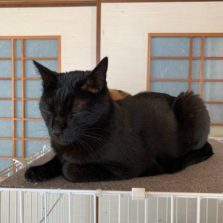 13e41254 ce12 4ca4 90b0 676ec97fba4d 1584926757518