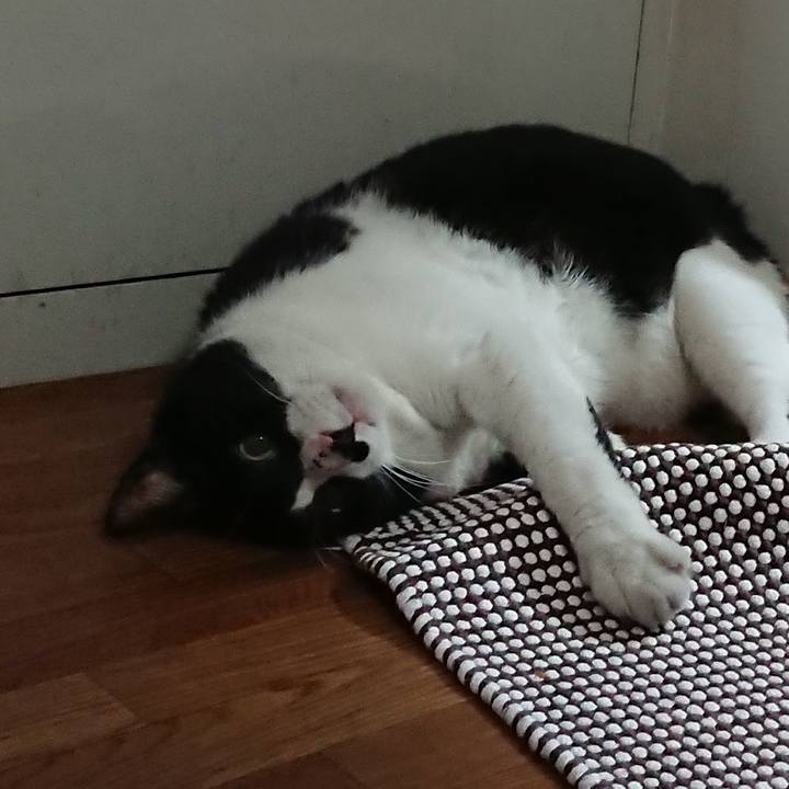 13e41d6d 0cd5 4dc1 b6b1 60bd19cda2eb 1535031035786