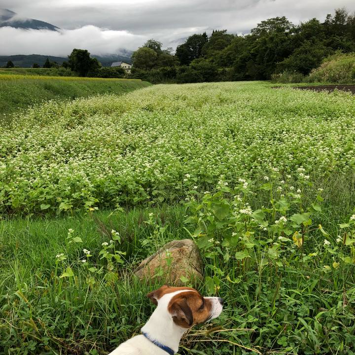 13e42b7e 95d4 487b b337 928cfe478a07 1536406454795