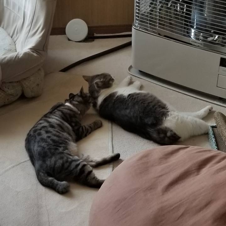 13e44ca0 f258 4891 bbd2 cfc4ae47321e 1686055089150