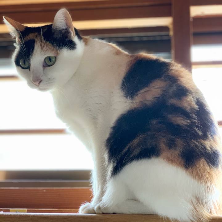 13e47b5a 2372 4f5f b84c 878127d84767 1545357412684