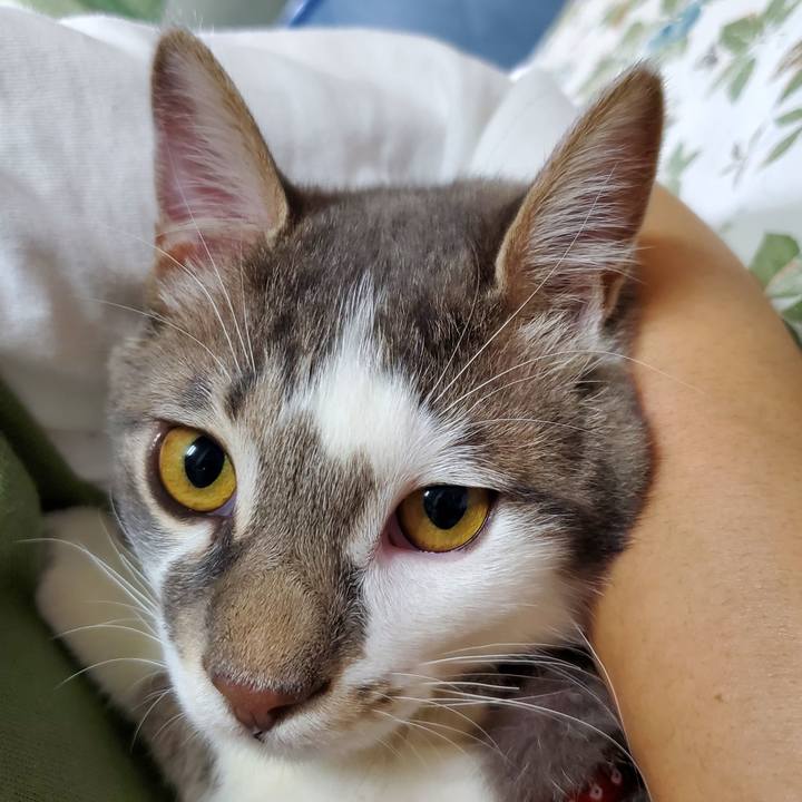 13e47bf3 3e42 4ddc b252 268782005cf8 1680578625443