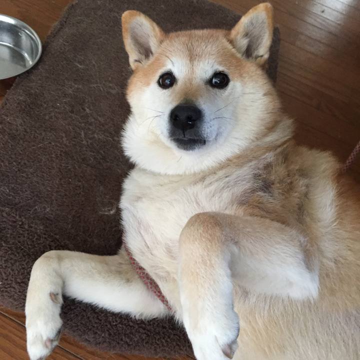 13e48bb8 dd9f 4543 bb60 5d592898f101 1521430932779