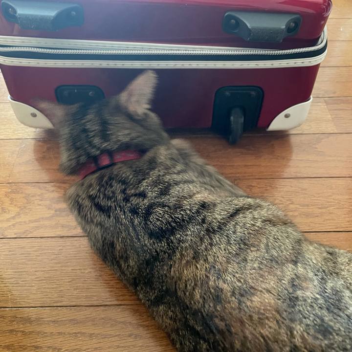 13e4cff8 f782 43c3 9d92 146216468713 1627607544096