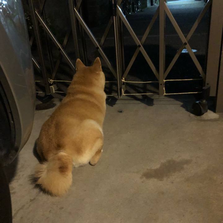 13e4e73f 04c9 4241 bf38 47d4bd94773e 1558045343462