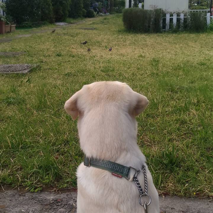 13e50d8a 1f32 45fa bb0a 94a5785eba27 1523362332422