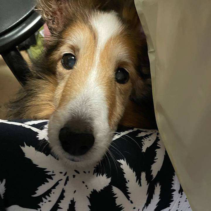 13e53351 65a2 4a5c b4a6 09685b00ac91 1624023161221