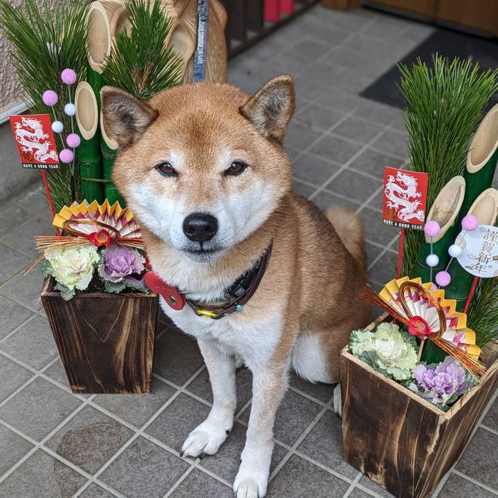 13e57ccf fe8a 476b 8341 a920f4c17f74 1704363566025