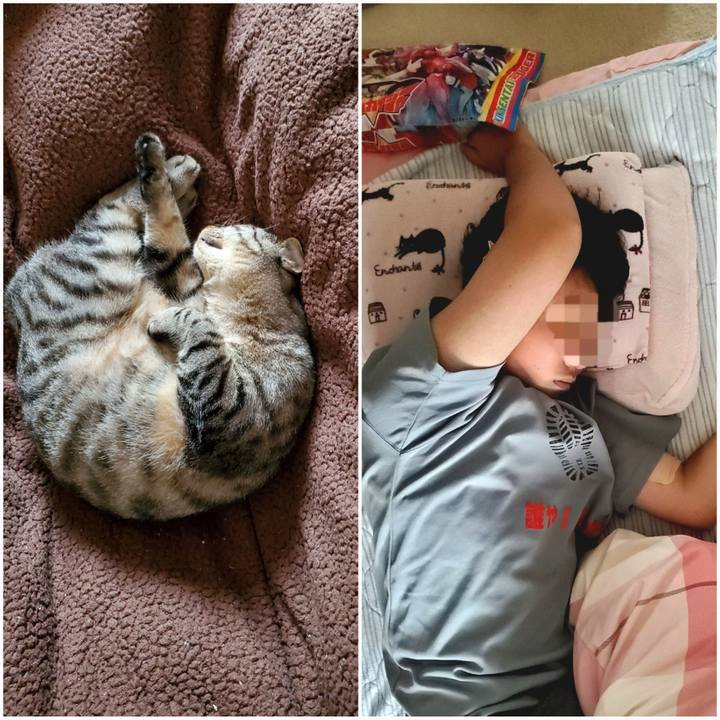 13e59308 b8d4 4b28 9434 95b7a8614a37 1694354835308