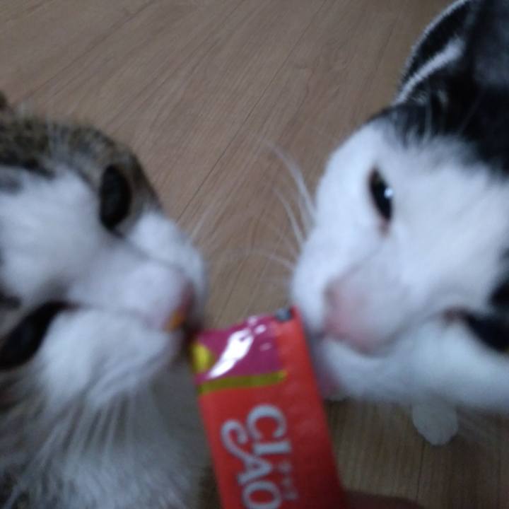 13e59cae c68f 4d37 bb3b e270abe33fdf 1537796453162