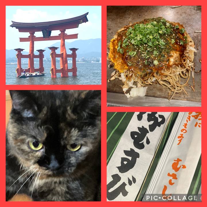 13e5a604 24f4 4a9c 9a7e e3c31f321f93 1756509312388