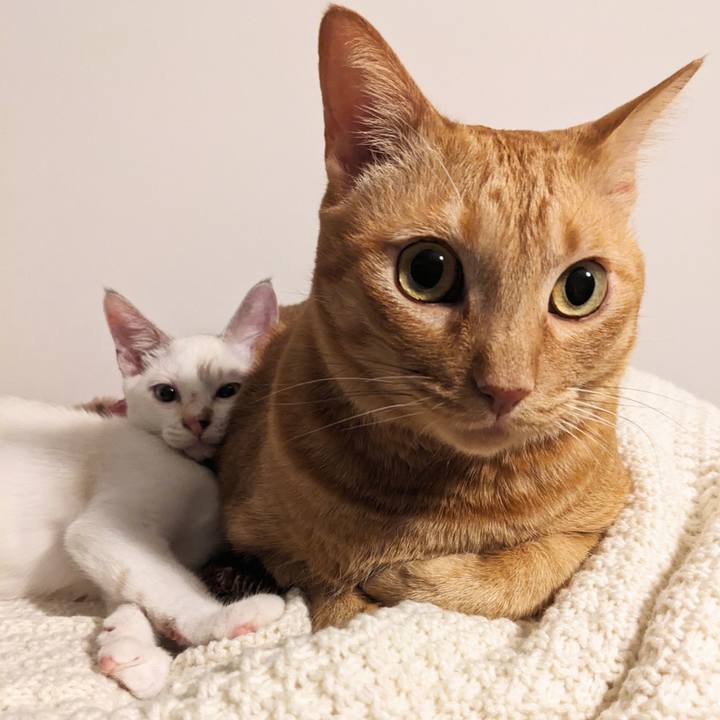 13e5b890 ae96 4dd1 a4ae 0727eee9e90b 1690367410334