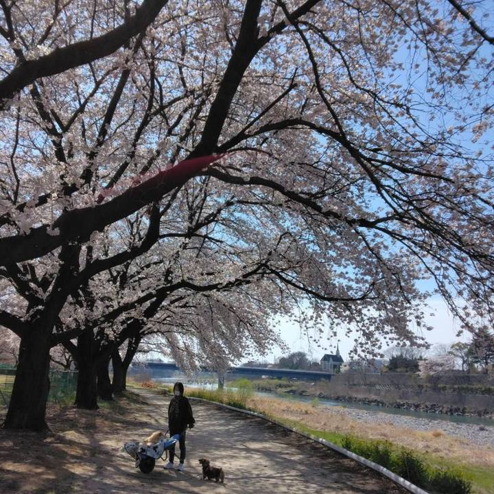 13e5c4d5 3df0 40b7 b4cf fadf7fa2671a 1648984020339