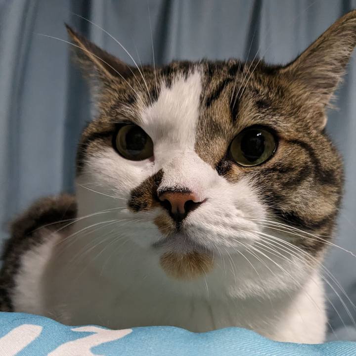 13e5c6d4 d5f1 4db7 b6dc 7d00431e555a 1691151180221