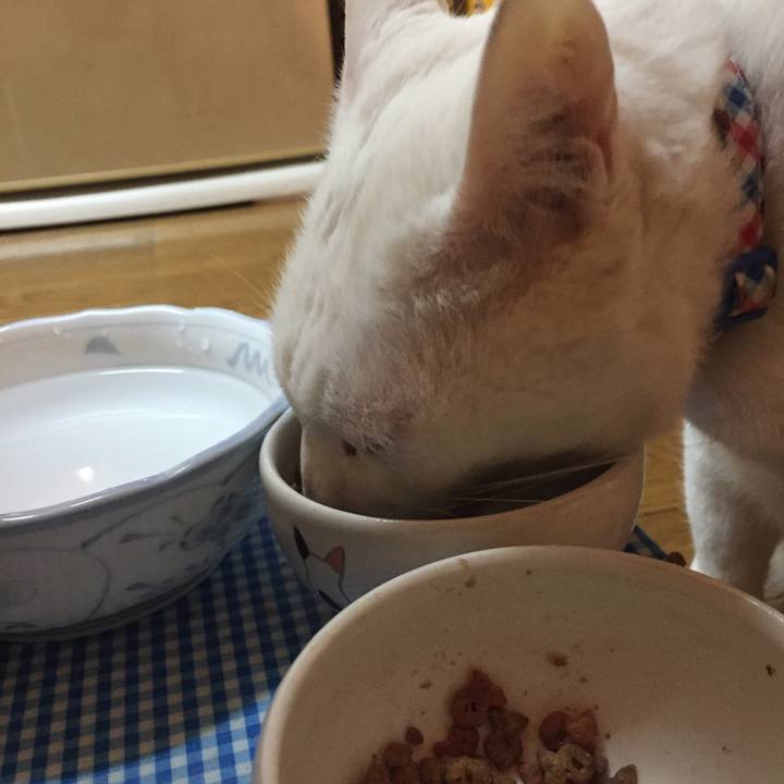 13e5c8bf 2972 464e 83b6 c8ac994a9bb5 1581456084288