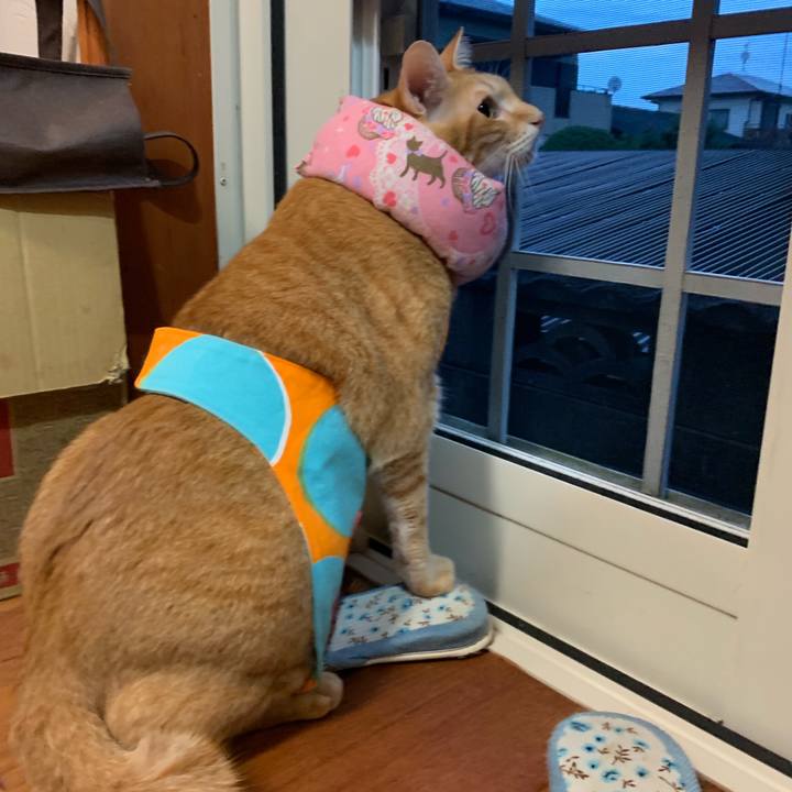 13e5c953 df07 4080 9574 02a0ed02a841 1566985784985