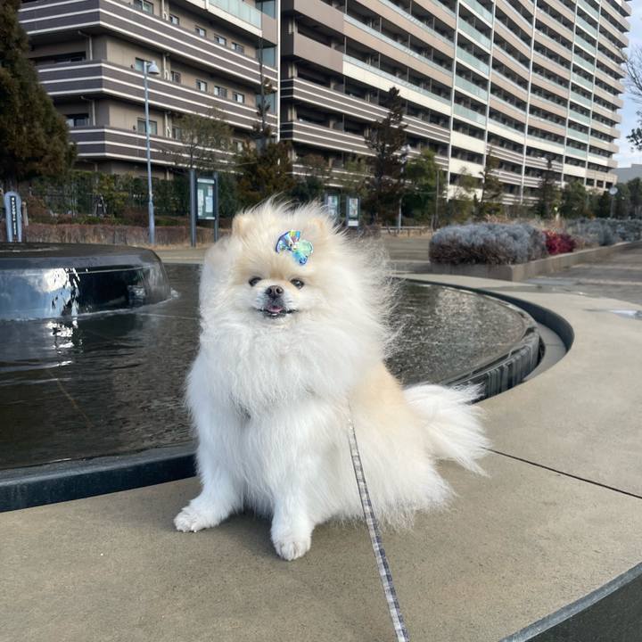 13e5d1a1 6e43 481e 9c9c b8045376d0e7 1737421619498