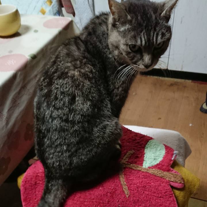 13e5e196 2e60 4063 b75d b6b06af5f3de 1551441168207