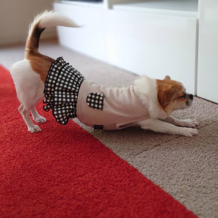 13e604ab 6cee 484d b858 d9324ec0a010 1653900043292