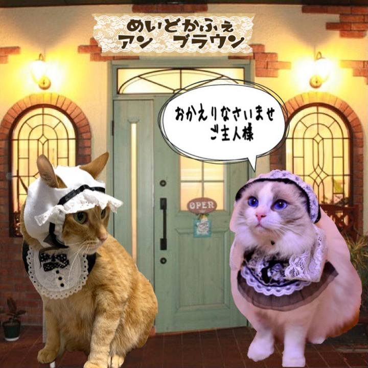 13e641f4 c075 49ba 84be afcc338ee7b2 1629370421726