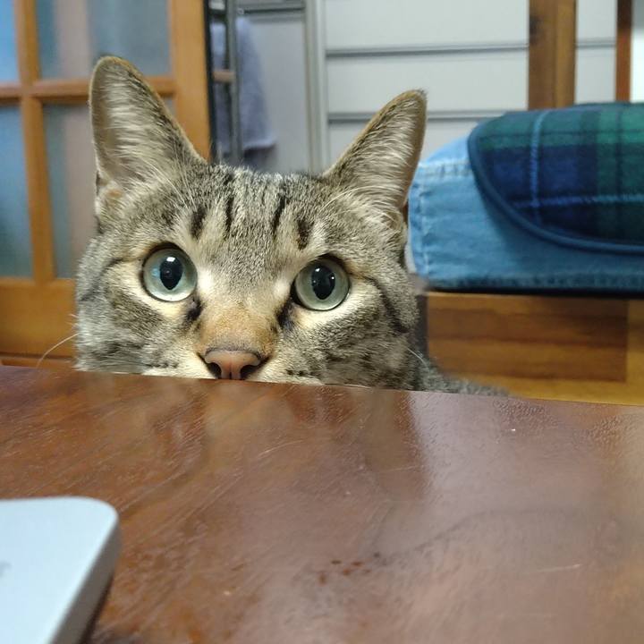 13e644ef 1588 4d35 9acd 1bb853789386 1646391391037