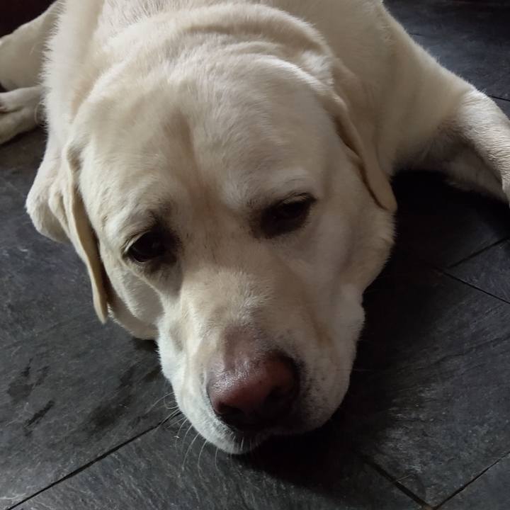 13e67af0 36e3 416f ac65 32ad62f263cb 1660097667775