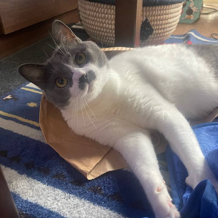 13e6984f 3376 4fe4 a709 5747bb5483a8 1689377173700