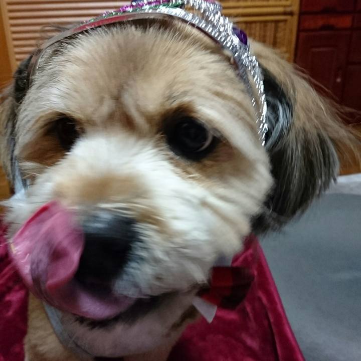 13e69c51 c56c 45ba adf9 6b31ba03ddd9 1513855417948