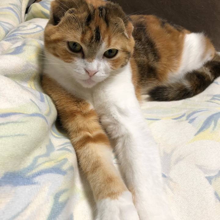 13e6d551 6d71 4565 8c18 f92afdea6896 1519388754955