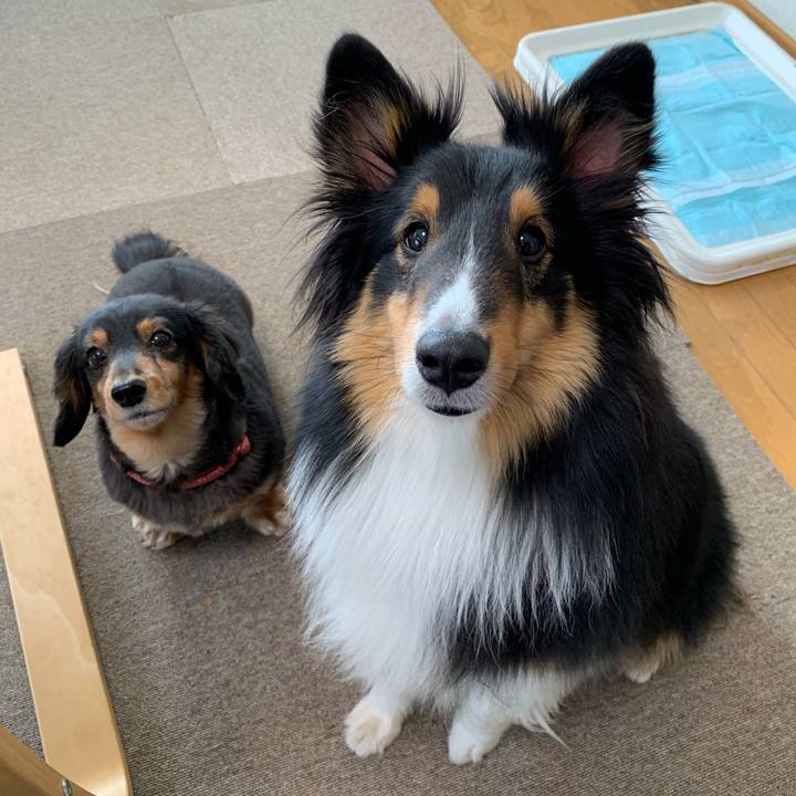 13e6ee9f 3e94 4dfd a570 e2fd03127c70 1554591776992