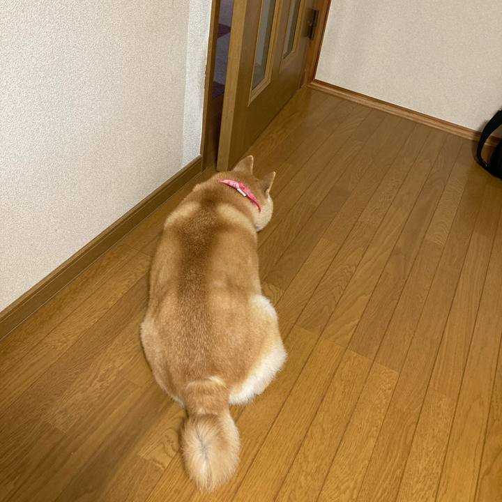 13e720eb 8aa0 42d5 8f63 67c1e62cd41e 1627392996424